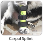 carpal-splint2